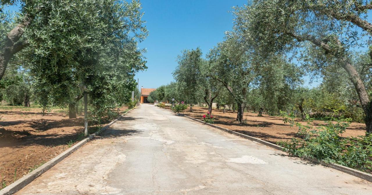 Domo Galante Διαμέρισμα Αλγκέρο Εξωτερικό φωτογραφία